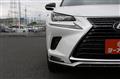 2020 Lexus NX