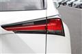 2020 Lexus NX