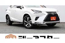 2020 Lexus NX