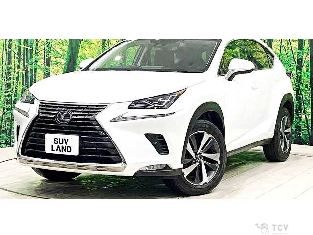 2020 Lexus NX