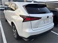 2020 Lexus NX
