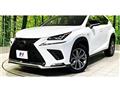 2020 Lexus NX