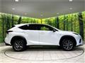 2020 Lexus NX