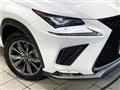 2020 Lexus NX