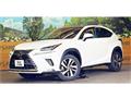 2020 Lexus NX