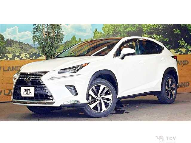 2020 Lexus NX
