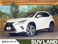 2020 Lexus NX