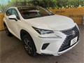2020 Lexus NX