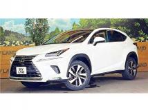 2020 Lexus NX