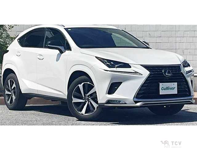 2020 Lexus NX
