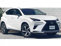 2020 Lexus NX