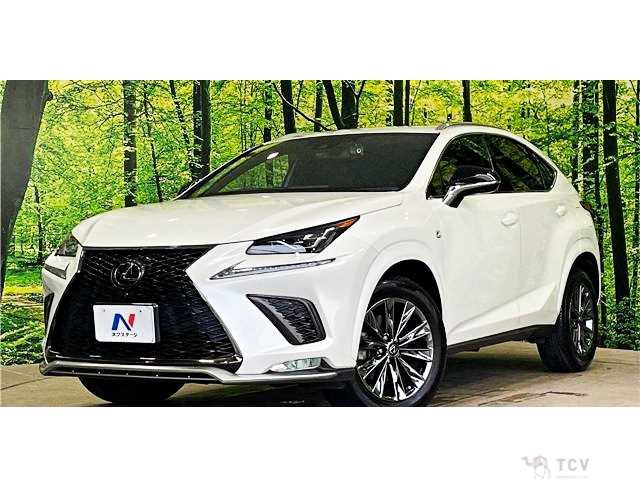 2020 Lexus NX