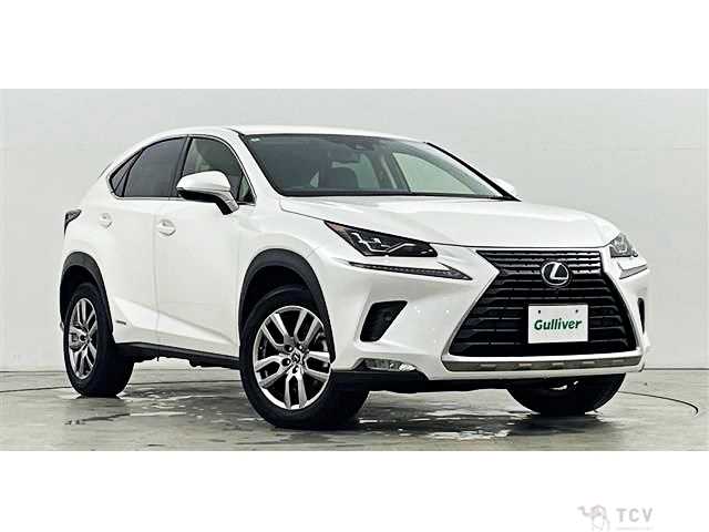 2020 Lexus NX