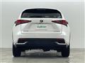 2020 Lexus NX