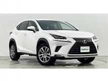 2020 Lexus NX
