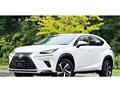 2020 Lexus NX