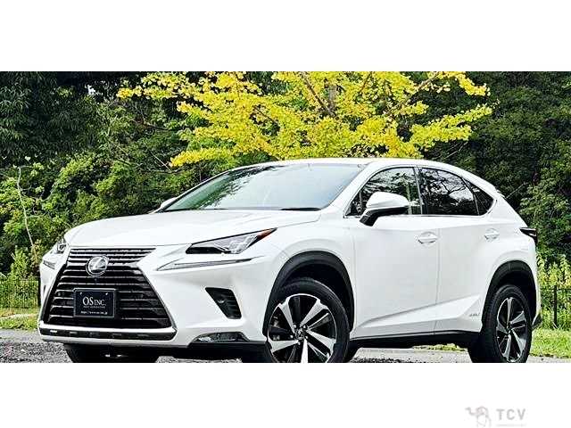 2020 Lexus NX