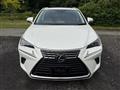 2020 Lexus NX
