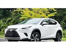 2020 Lexus NX
