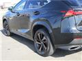 2020 Lexus NX