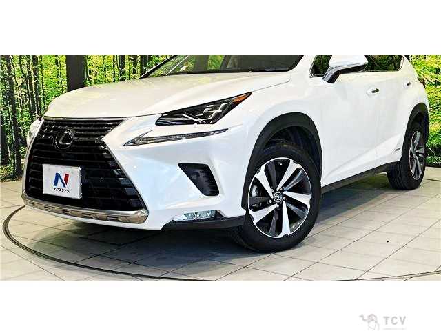 2020 Lexus NX