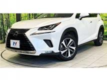 2020 Lexus NX