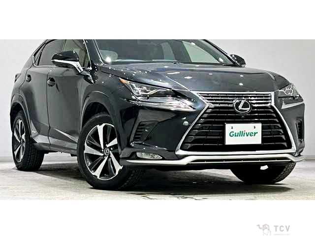 2020 Lexus NX