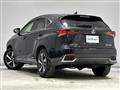 2020 Lexus NX