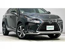 2020 Lexus NX