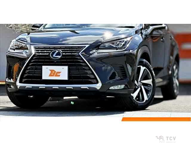 2020 Lexus NX