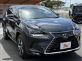 2020 Lexus NX