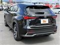2020 Lexus NX