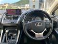 2020 Lexus NX