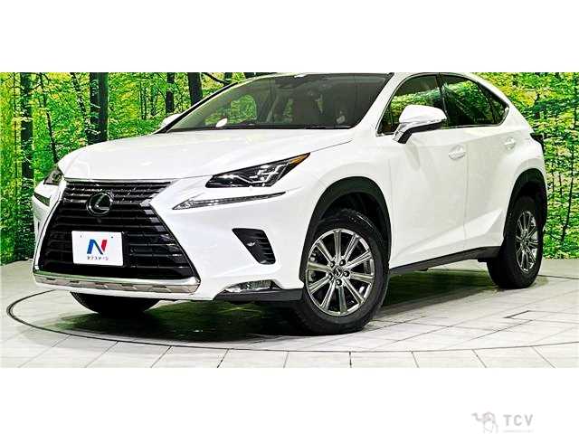 2020 Lexus NX