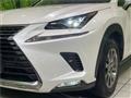 2020 Lexus NX
