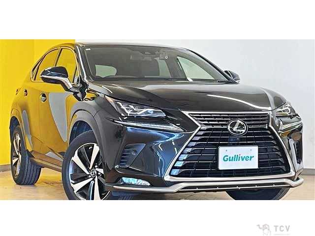 2020 Lexus NX