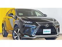 2020 Lexus NX