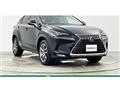 2020 Lexus NX