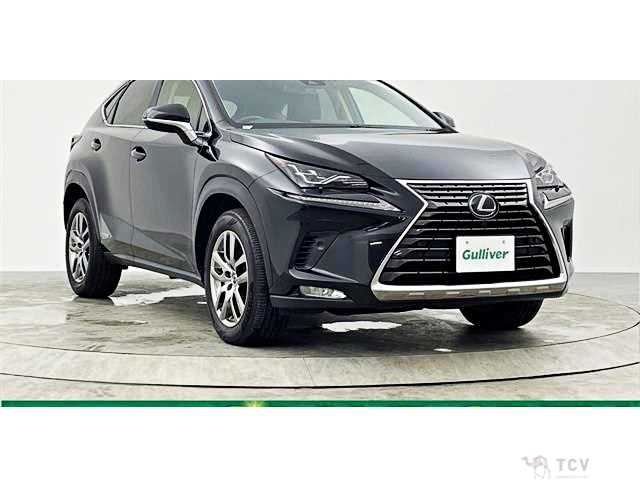 2020 Lexus NX
