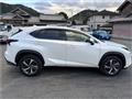 2020 Lexus NX