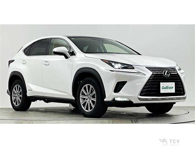 2020 Lexus NX