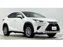 2020 Lexus NX