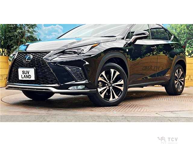 2020 Lexus NX