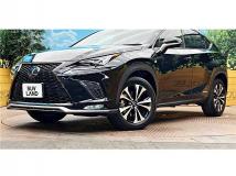 2020 Lexus NX