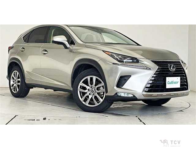 2020 Lexus NX