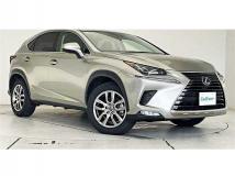 2020 Lexus NX