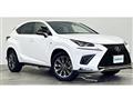 2020 Lexus NX