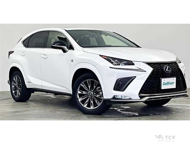 2020 Lexus NX
