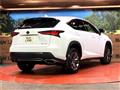 2020 Lexus NX