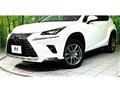 2020 Lexus NX